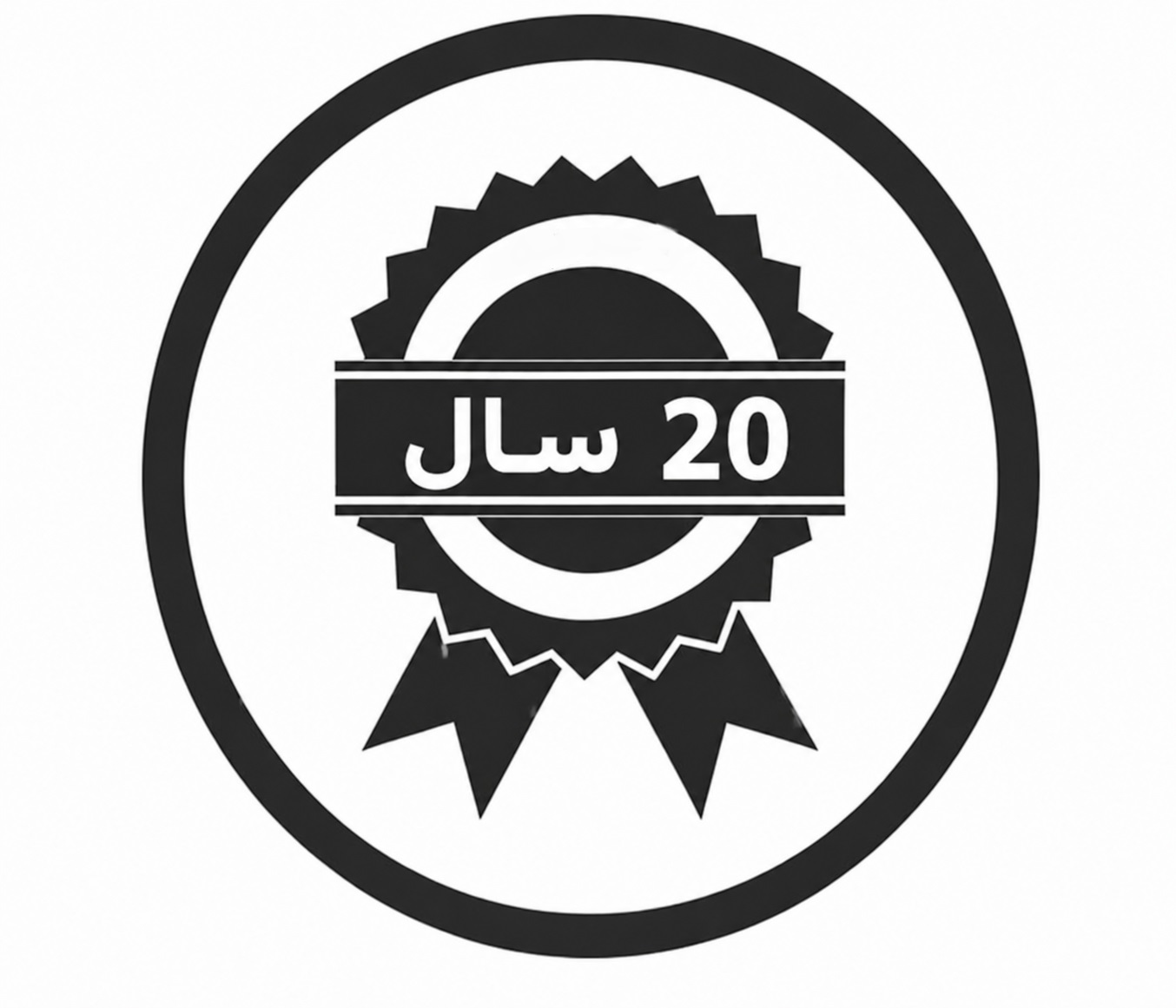 تجربه طراحان شبکه تهران وب سایت